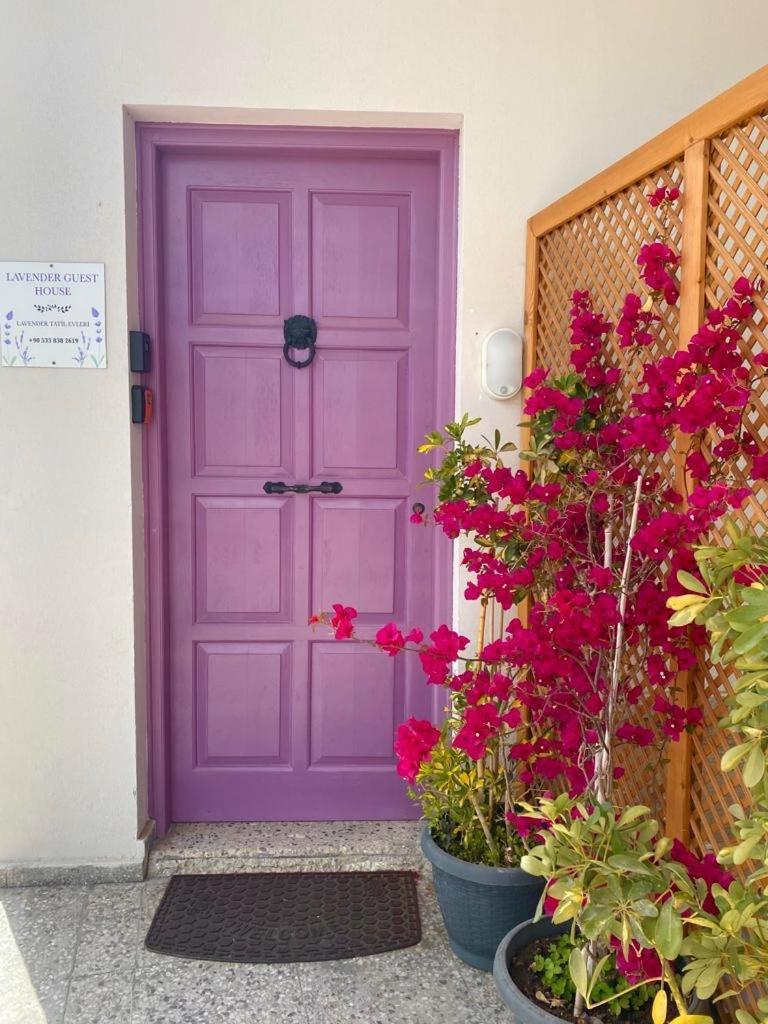 Lavender Homes Famagusta  Eksteriør billede